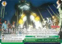 You did nothin wrong SR (Fairy Tail ver.E)