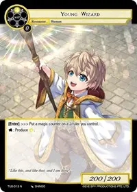 Young Wizard (The Underworld of Secrets)